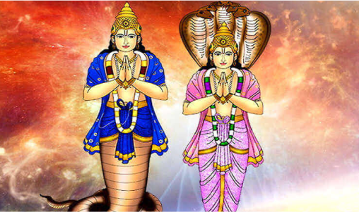 मनुष्य जीवन पर प्रभाव