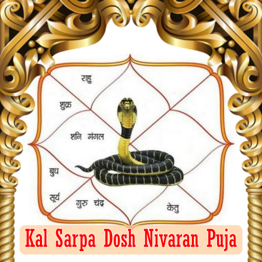 KAL SARPA DOSH NIVARAN PUJA 1 DAY