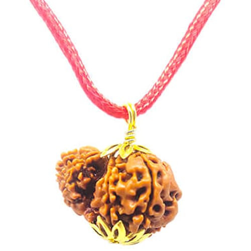 Garbh-Gauri Rudraksha